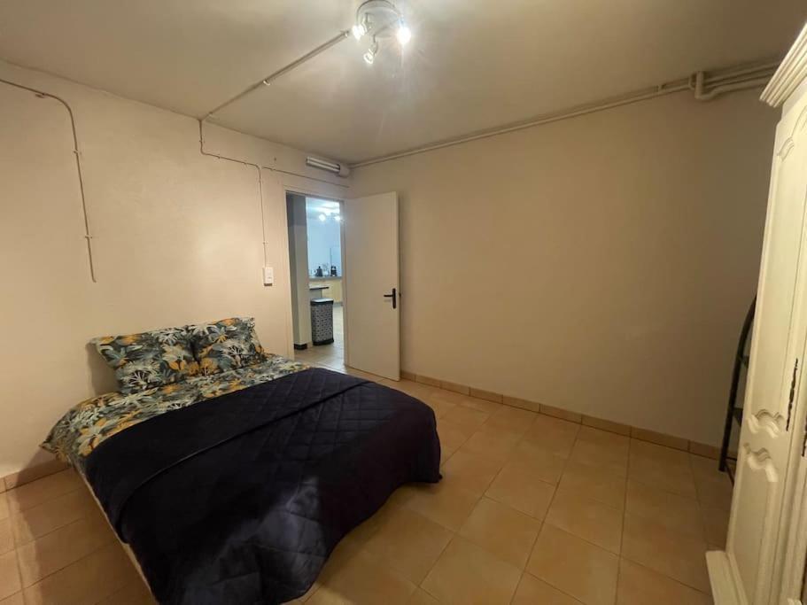 Appartement Independant En Rdc Chez Habitant Lannemezan Exteriér fotografie